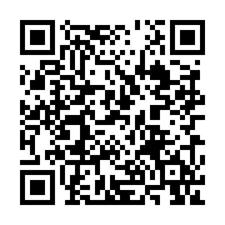 QR Code Preview